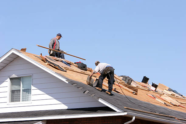 Best Roof Insulation Installation  in New Braunfels, TX